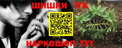 дмт Новодвинск