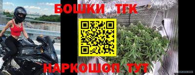 дмт Новодвинск