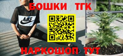 тгк Новокубанск